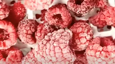 Línea personalizada de doble bañado de chocolate para un fabricante australiano de snacks de frambuesa 1